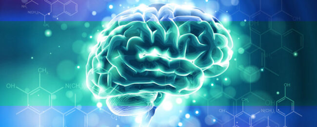 happiness-brain-chemistry-mood2 Neural connections of the brain, brain chemistry and happiness